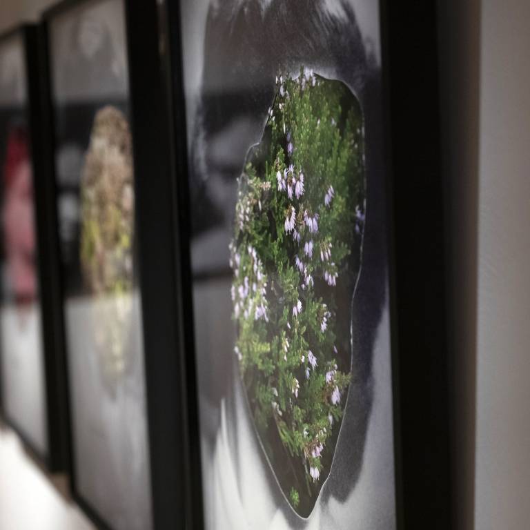 The Portrait of my grandmother Assne by Katinka Goldberg