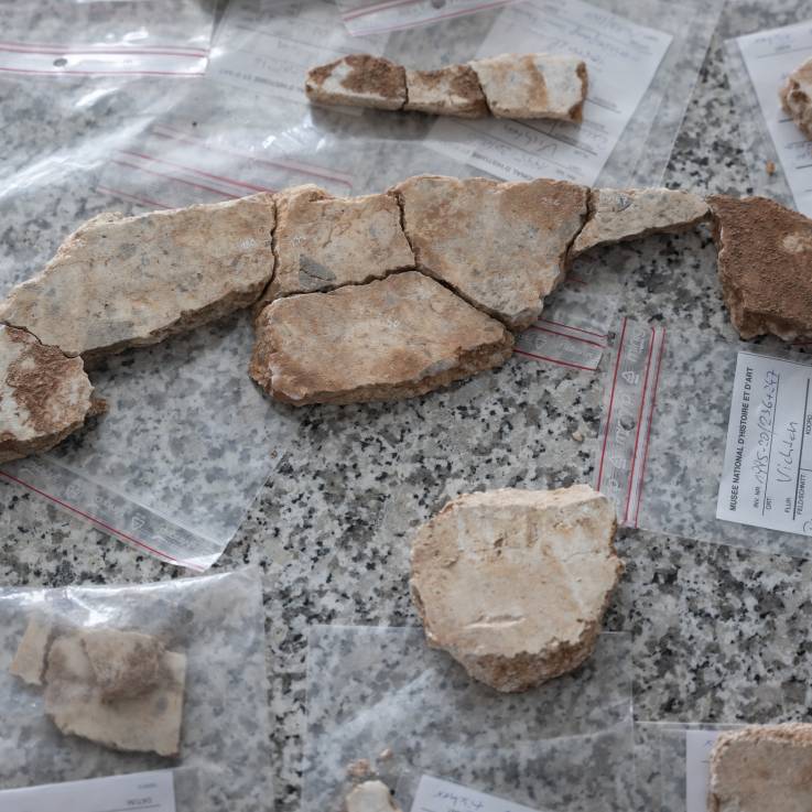 Fragments de la mosaïque